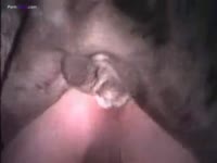 Gay beastiality sex with dog's big fat dick